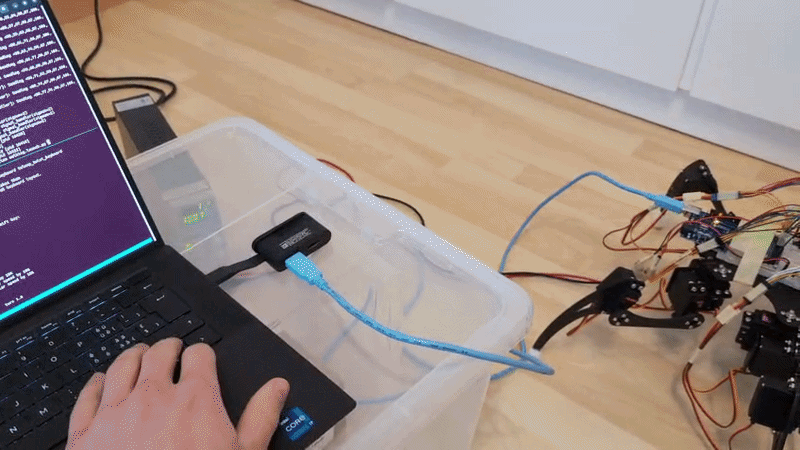 Hexapod robot walking